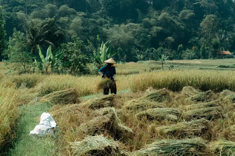 医用防护服与隔离衣材质对比：如何根据场景选择防护等级